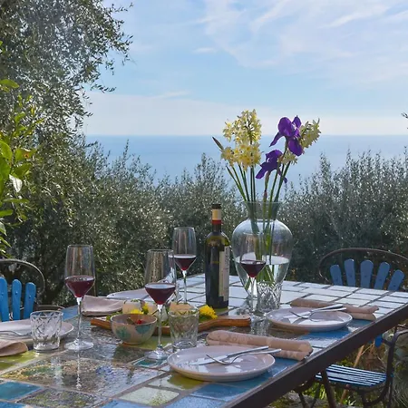 Villa In Rapallo With Sea View And Olive Yards, Cleaning Included Βίλα *