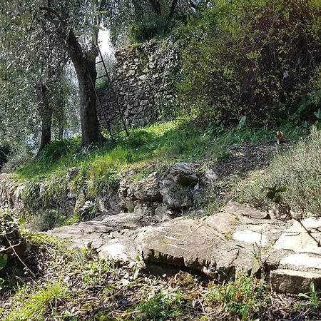 Villa In Rapallo With Sea View And Olive Yards, Cleaning Included 빌라 라팔로