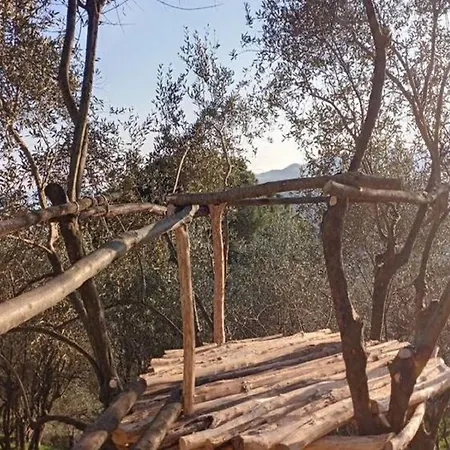 Villa In Rapallo With Sea View And Olive Yards, Cleaning Included Ραπάλο