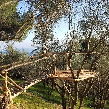 Villa In Rapallo With Sea View And Olive Yards, Cleaning Included 빌라