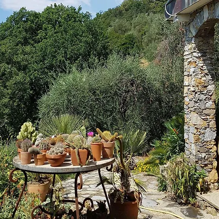 Villa In With Sea View And Olive Yards, Cleaning Included *