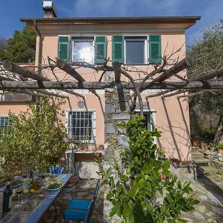 Villa In Rapallo With Sea View And Olive Yards, Cleaning Included * Rapallo