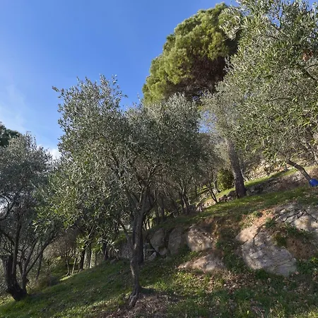 Villa In With Sea View And Olive Yards, Cleaning Included *