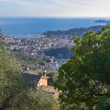 Villa In With Sea View And Olive Yards, Cleaning Included Rapallo